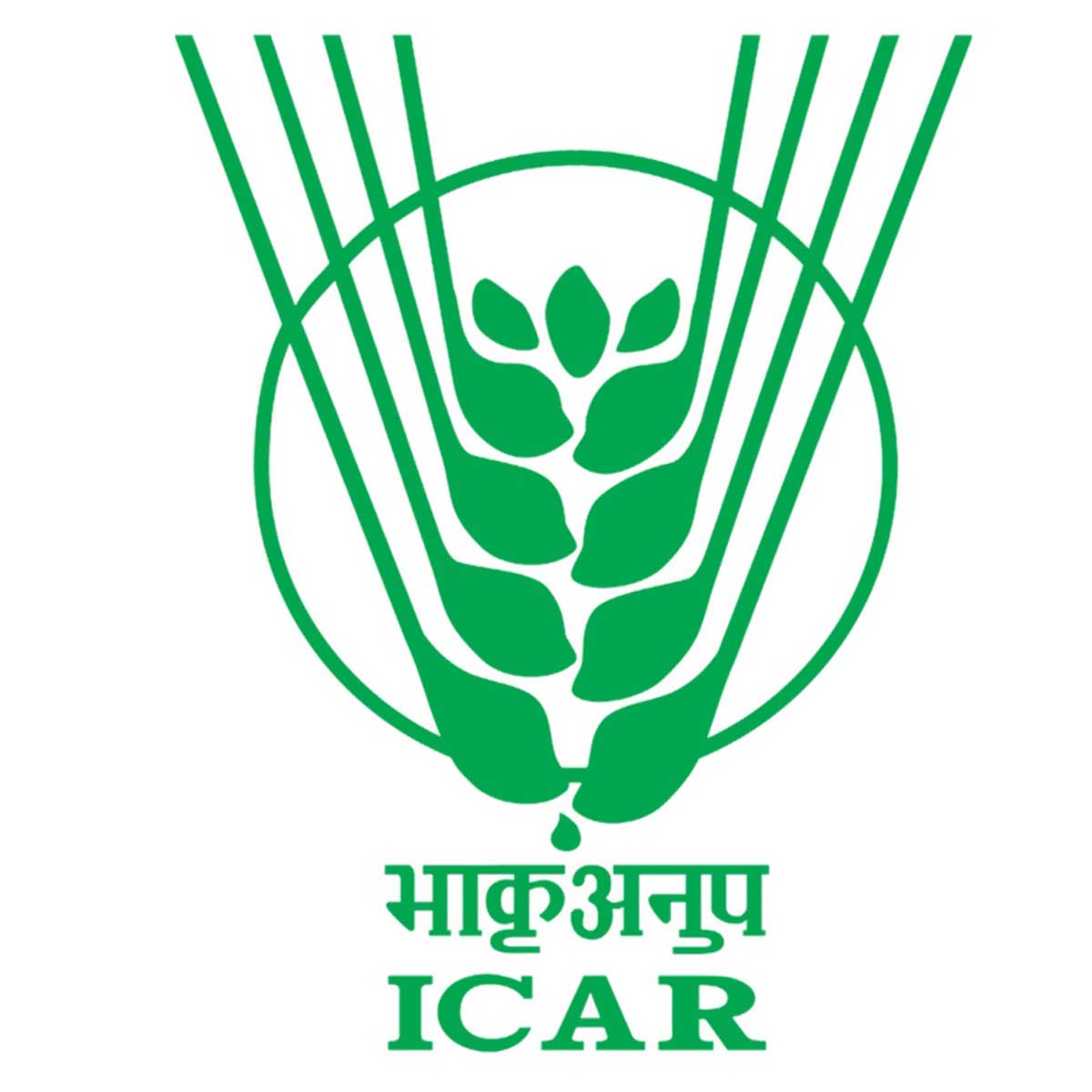 Icar Technician Recruitment - Indian Agricultural Research Institute Job Vacancies